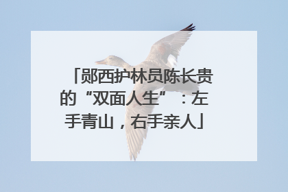 郧西护林员陈长贵的“双面人生”：左手青山，右手亲人