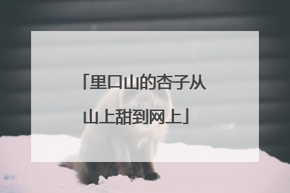 里口山的杏子从山上甜到网上