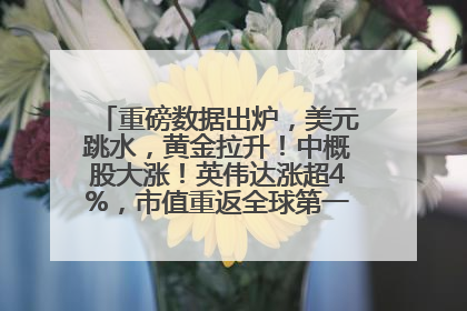 重磅数据出炉，美元跳水，黄金拉升！中概股大涨！英伟达涨超4%，市值重返全球第一！黄仁勋计划出售至多600万股股票