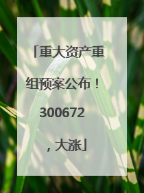 重大资产重组预案公布！300672，大涨