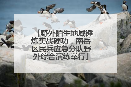 野外陌生地域锤炼实战硬功，南岳区民兵应急分队野外综合演练举行