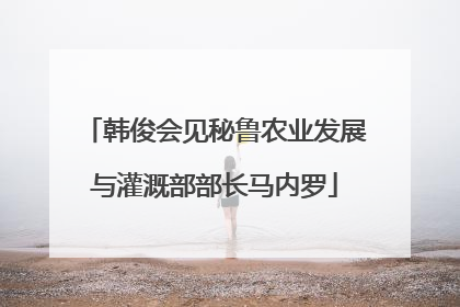 韩俊会见秘鲁农业发展与灌溉部部长马内罗