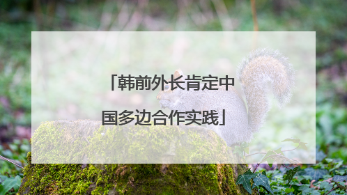 韩前外长肯定中国多边合作实践