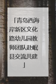 青岛西海岸新区文化路幼儿园教师团队赴岷县交流共建