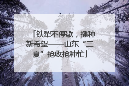 铁犁不停歇，播种新希望——山东“三夏”抢收抢种忙
