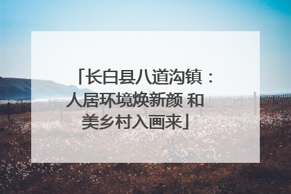 长白县八道沟镇：人居环境焕新颜 和美乡村入画来