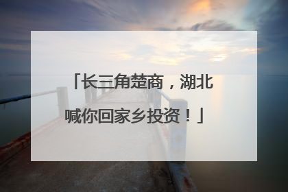 长三角楚商，湖北喊你回家乡投资！