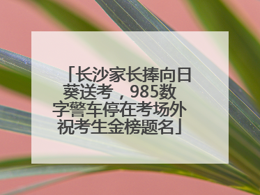 长沙家长捧向日葵送考，985数字警车停在考场外祝考生金榜题名