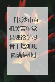 长沙市直机关青年党员理论学习骨干培训班圆满结业