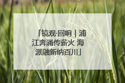 镜观·回响｜浦江奔涌传薪火 海派融新纳百川