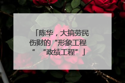陈华，大搞劳民伤财的“形象工程”“政绩工程”