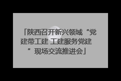 陕西召开新兴领域“党建带工建 工建服务党建”现场交流推进会