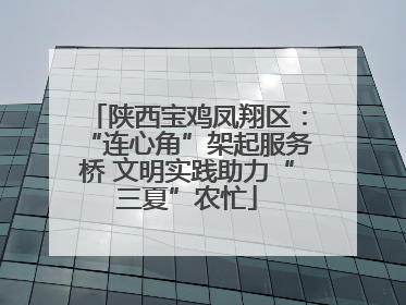 陕西宝鸡凤翔区：“连心角”架起服务桥 文明实践助力“三夏”农忙