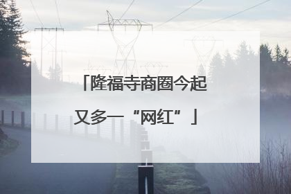 隆福寺商圈今起又多一“网红”