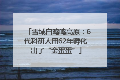 雪域白鸡鸣高原：6代科研人用62年孵化出了“金蛋蛋”