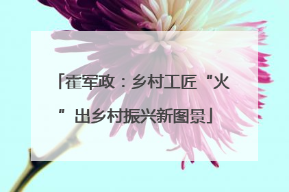 霍军政：乡村工匠“火”出乡村振兴新图景