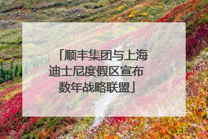 顺丰集团与上海迪士尼度假区宣布数年战略联盟