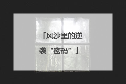风沙里的逆袭“密码”