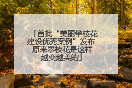 首批“美丽攀枝花建设优秀案例”发布 原来攀枝花是这样越变越美的