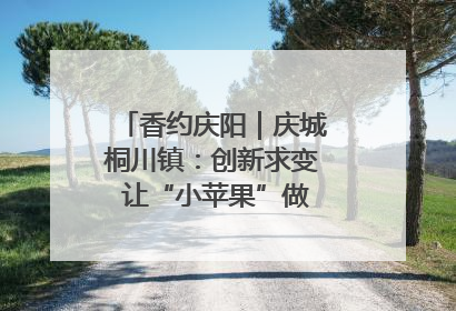 香约庆阳｜庆城桐川镇：创新求变 让“小苹果”做成“大产业”