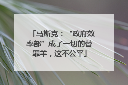 马斯克：“政府效率部”成了一切的替罪羊，这不公平
