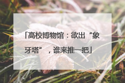高校博物馆：欲出“象牙塔”，谁来推一把