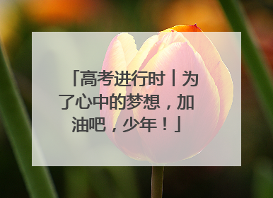 高考进行时︱为了心中的梦想，加油吧，少年！
