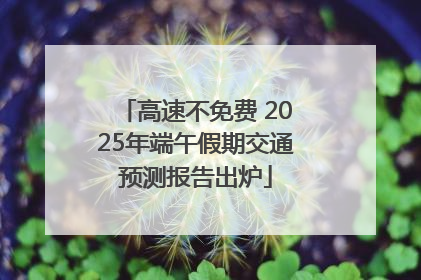 高速不免费 2025年端午假期交通预测报告出炉