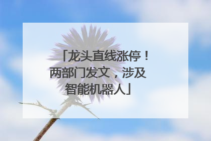 龙头直线涨停！两部门发文，涉及智能机器人