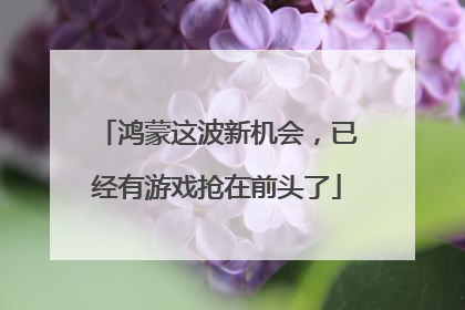 鸿蒙这波新机会，已经有游戏抢在前头了