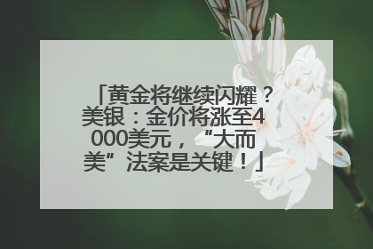 黄金将继续闪耀？美银：金价将涨至4000美元，“大而美”法案是关键！