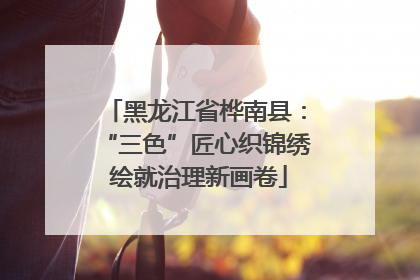黑龙江省桦南县：“三色”匠心织锦绣 绘就治理新画卷