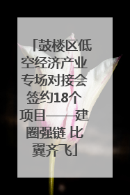 鼓楼区低空经济产业专场对接会签约18个项目——建圈强链 比翼齐飞