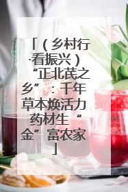 （乡村行·看振兴）“正北芪之乡”：千年草本焕活力 药材生“金”富农家