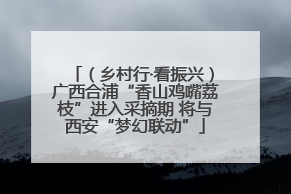 （乡村行·看振兴）广西合浦“香山鸡嘴荔枝”进入采摘期 将与西安“梦幻联动”