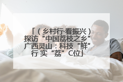 （乡村行·看振兴）探访“中国荔枝之乡”广西灵山：科技“鲜”行 实“荔”C位