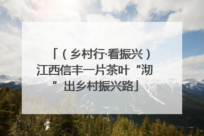 （乡村行·看振兴）江西信丰一片茶叶“沏”出乡村振兴路