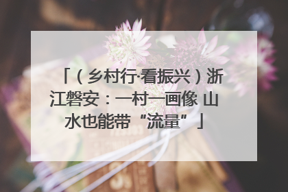 （乡村行·看振兴）浙江磐安：一村一画像 山水也能带“流量”