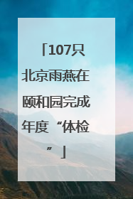 107只北京雨燕在颐和园完成年度“体检”