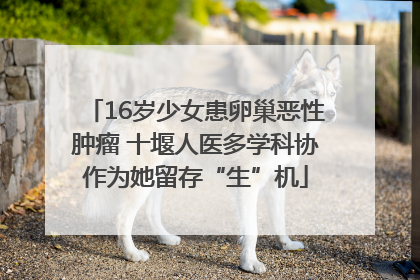 16岁少女患卵巢恶性肿瘤 十堰人医多学科协作为她留存“生”机