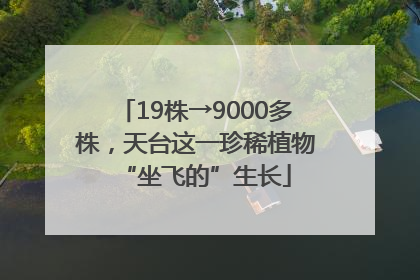 19株→9000多株，天台这一珍稀植物“坐飞的”生长
