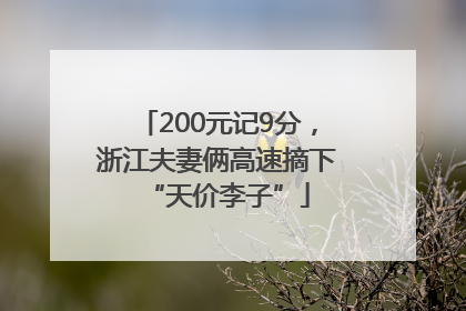 200元记9分，浙江夫妻俩高速摘下“天价李子”