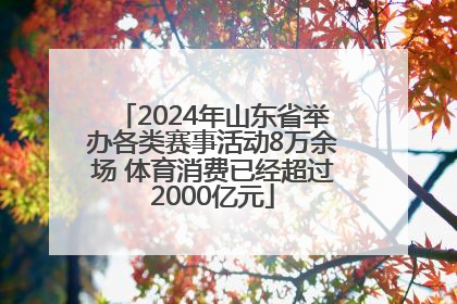 2024年山东省举办各类赛事活动8万余场 体育消费已经超过2000亿元