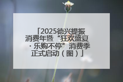 2025德兴提振消费年暨“狂欢盛夏・乐购不停”消费季正式启动（图）