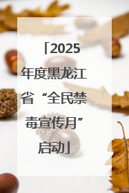 2025年度黑龙江省“全民禁毒宣传月”启动