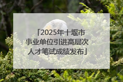2025年十堰市事业单位引进高层次人才笔试成绩发布