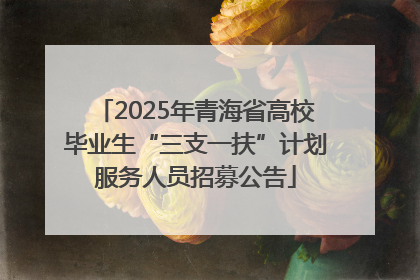 2025年青海省高校毕业生“三支一扶”计划服务人员招募公告