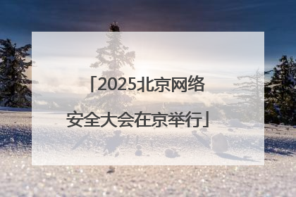 2025北京网络安全大会在京举行