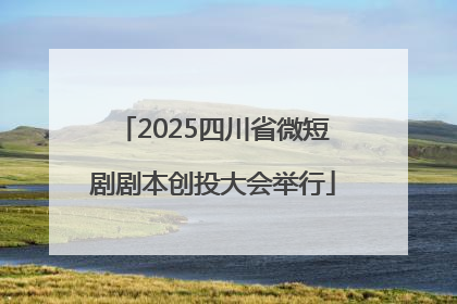 2025四川省微短剧剧本创投大会举行