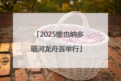 2025维也纳多瑙河龙舟赛举行